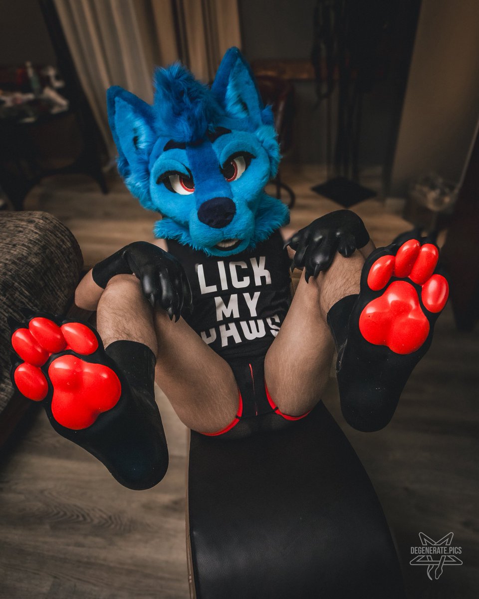 LuisDaWulf AD🔜WARNING YIFF 2026 tweet media