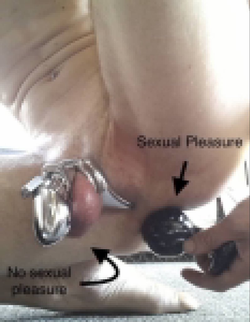 findomcartel's tweet photo. RT #whitebois #sissyslut https://t.co/zhJhynheOr