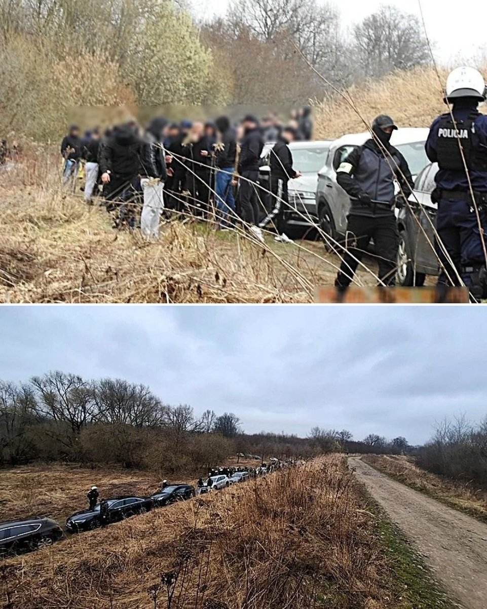 🌐 ᴛʜᴇᴘᴏʟᴀɴᴅɴᴇᴡs 🌐 tweet media