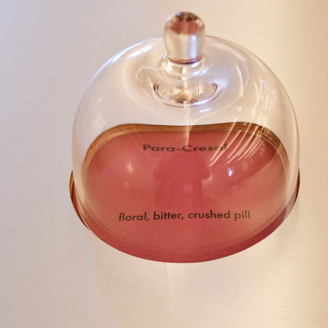 MO Botanical Garden tweet media