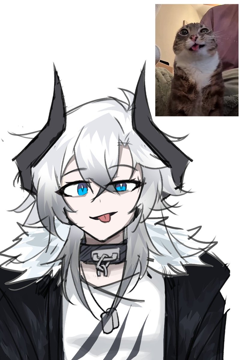 Zeph ⚓️⚔️【Dragon VTuber】 tweet media