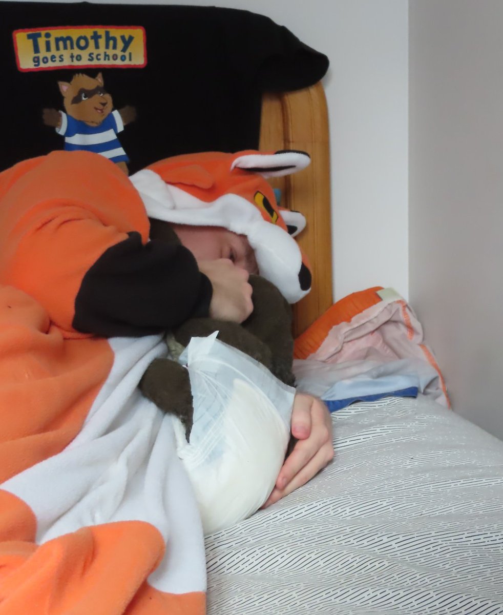 FriendlyFox tweet media