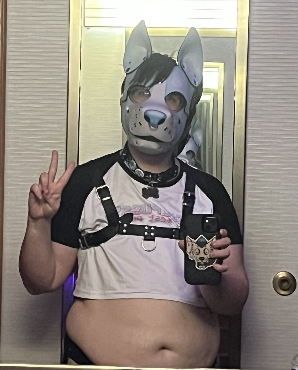 🏳️⚧️ Chibi Floof 🏳️🌈 tweet media