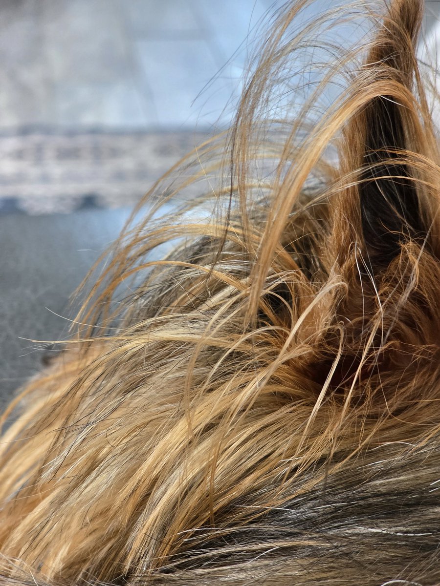 Michael Hale tweet media