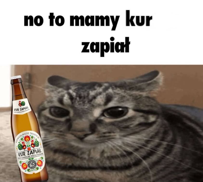 ¿tony🩻ᵎᵎnikolai🌊 tweet media