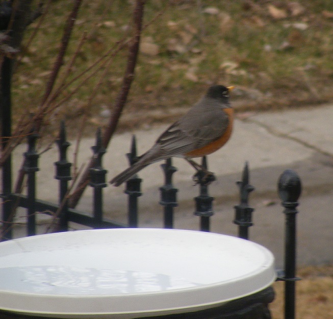 Sara T e m p e s t 🍁 tweet media