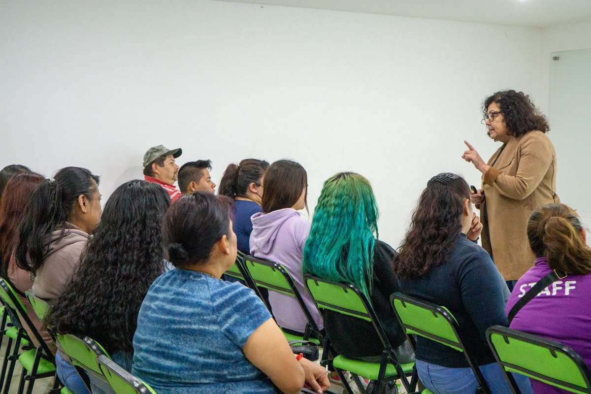 PVEM Cd. de México tweet media