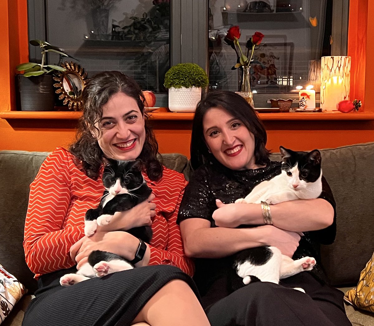 Maryam Moqaddam مریم مقدم tweet media