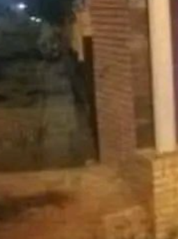 #ObeezySHOW#MOMOVERS🔧👑💸#VhariMini tweet media