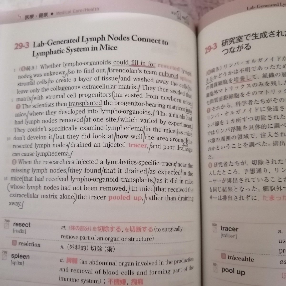 HIRO🌅Beyond TOEIC L & R tweet media