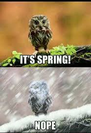 NicoleM_MN's tweet photo. Happy Spring!
The season officially began at 9:46am (Central).
This week felt a bit like this, except for once, in "reverse"...with a major snowstorm Sunday and a quick flip to sunshine and 60s by today, just in time for the new season! https://t.co/VFUnR0dE5T