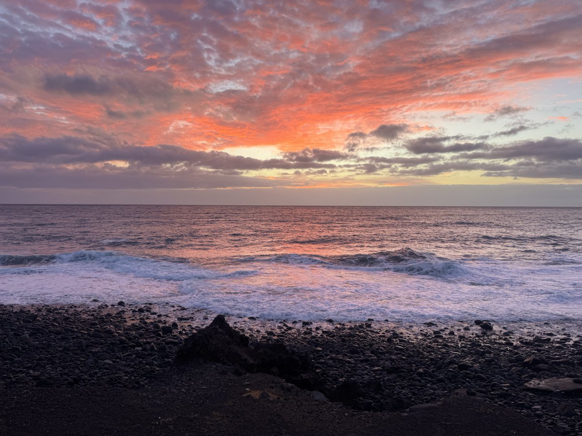 Jesús Sequeira Pol tweet media