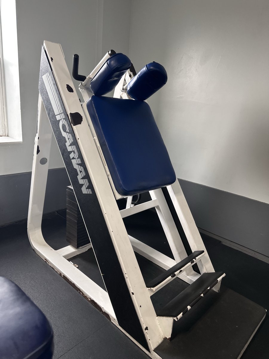 Nuclear Armed Hogs tweet media