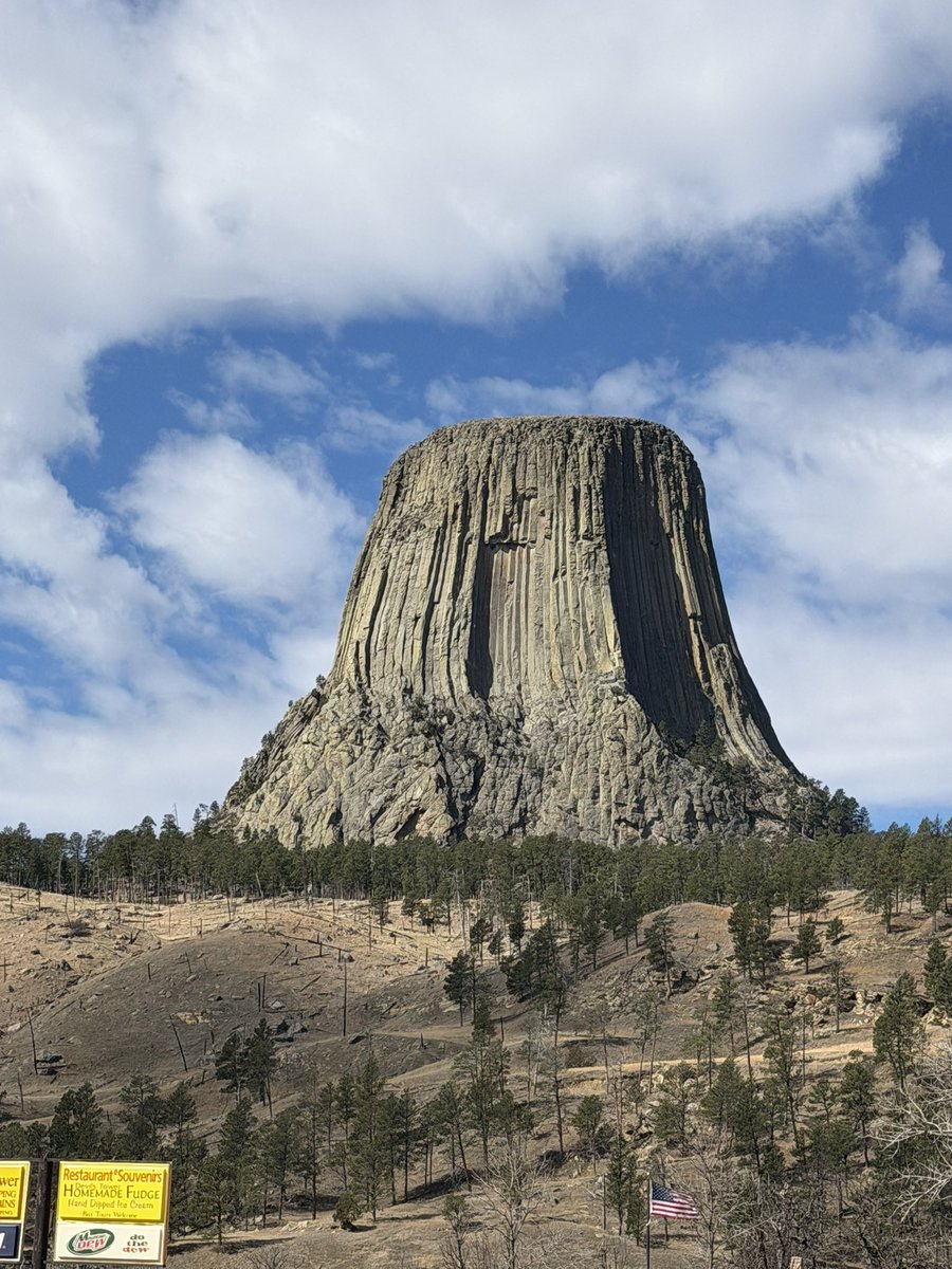 SDMattyG tweet media