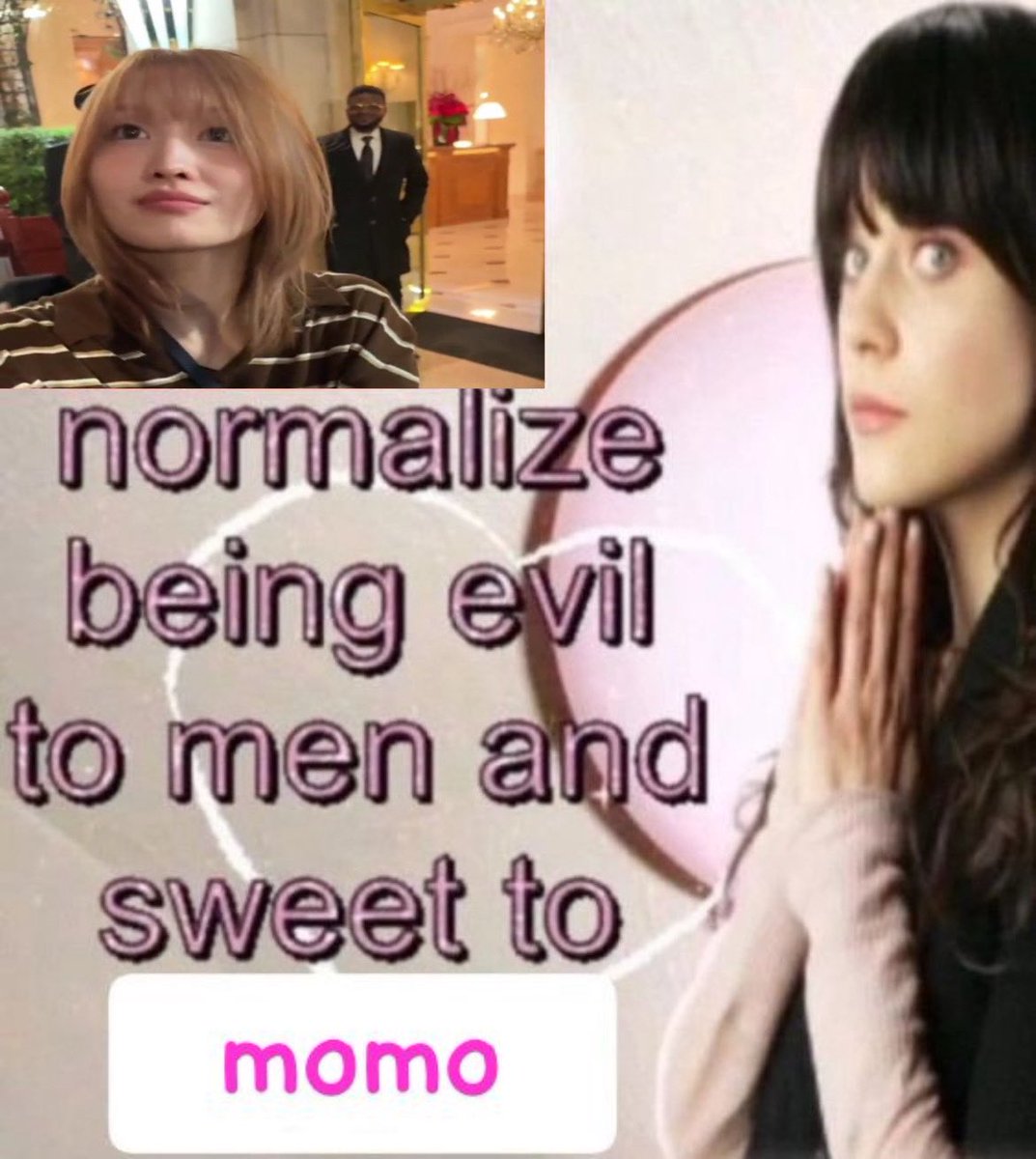 acervo momo🐱 tweet media