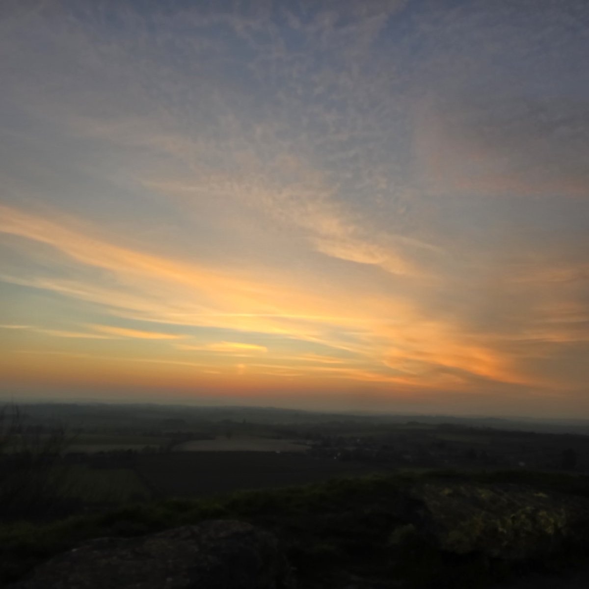 SleeplessInSomerset tweet media