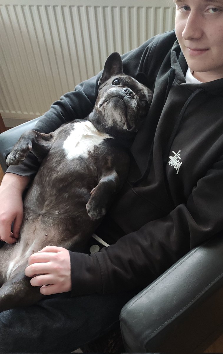 Stanislav Ševeček tweet media