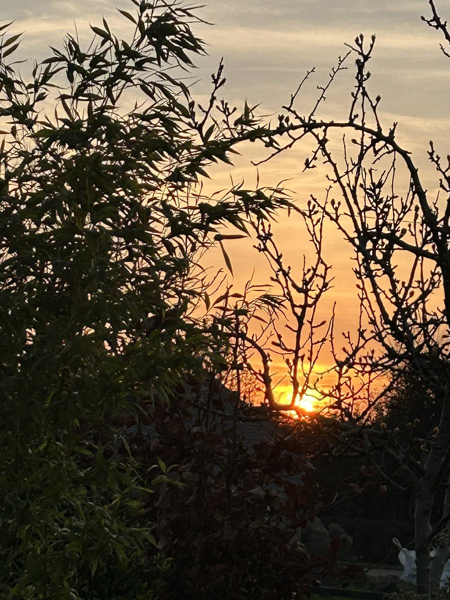 Colette Caddle tweet media