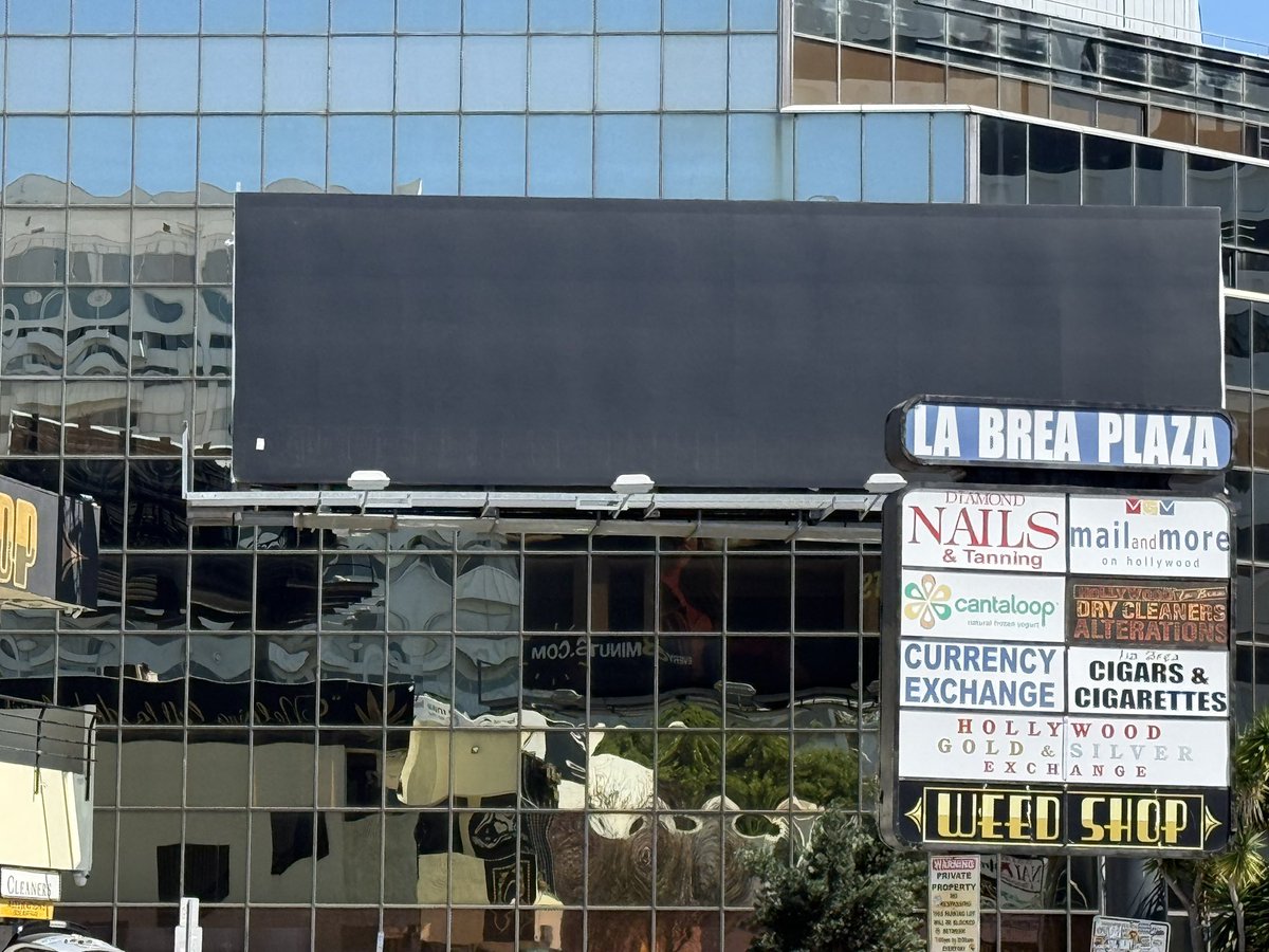 Carey O'Donnell tweet media