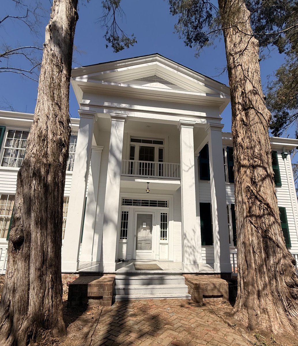 Cat in the Hat tweet media