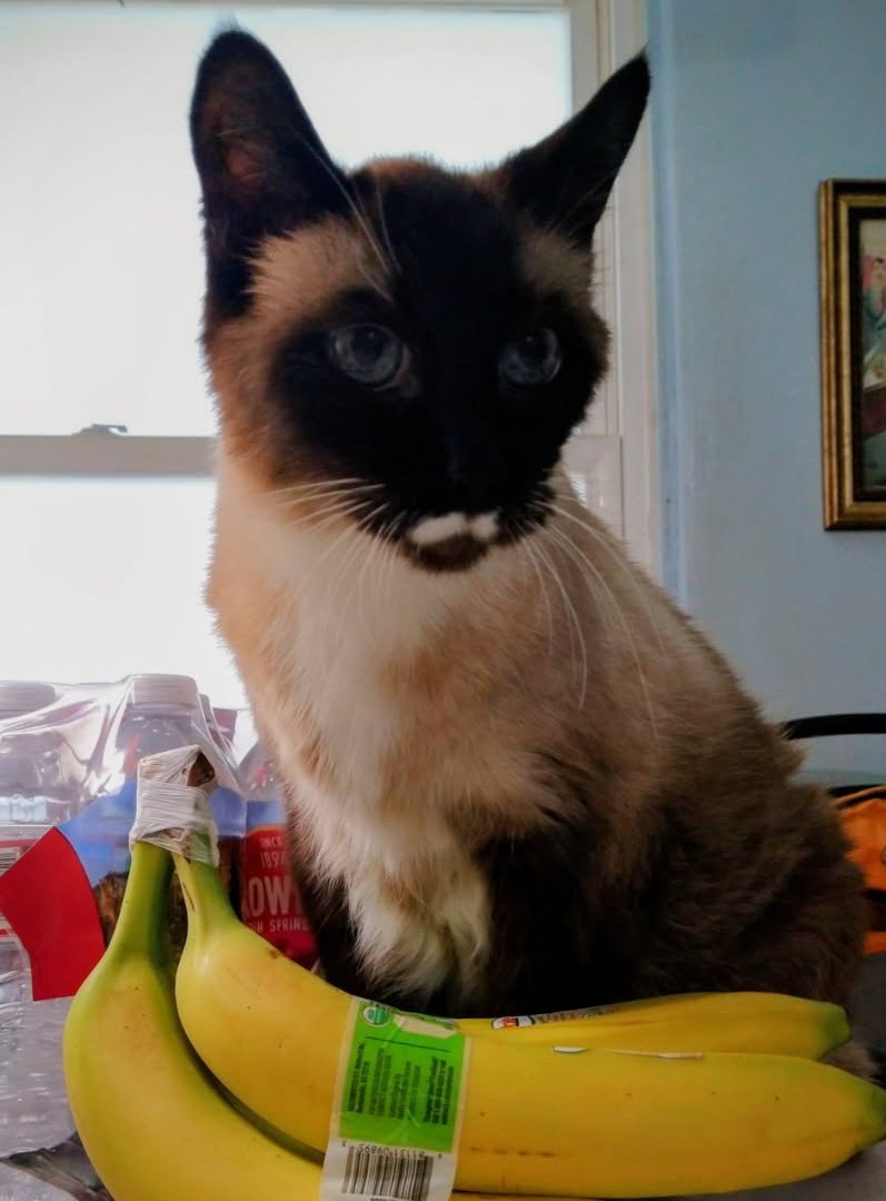 ova 🙃 tweet media