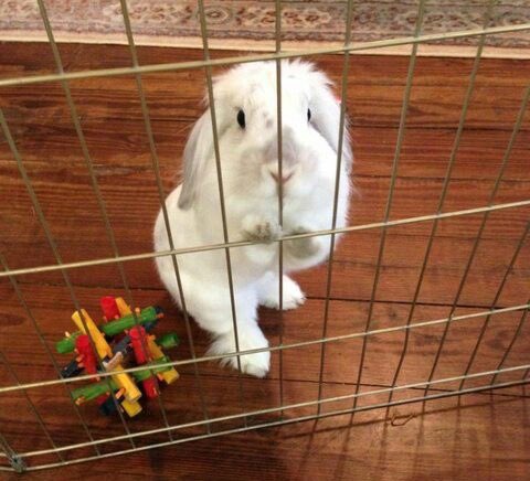 caly ☁️ tweet media