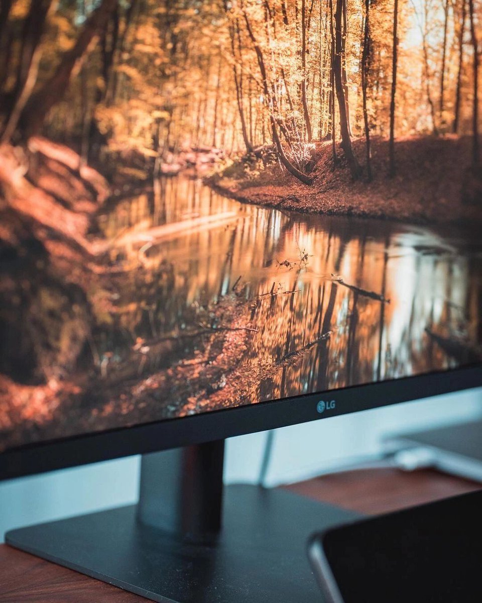 Leonardo Matos tweet media