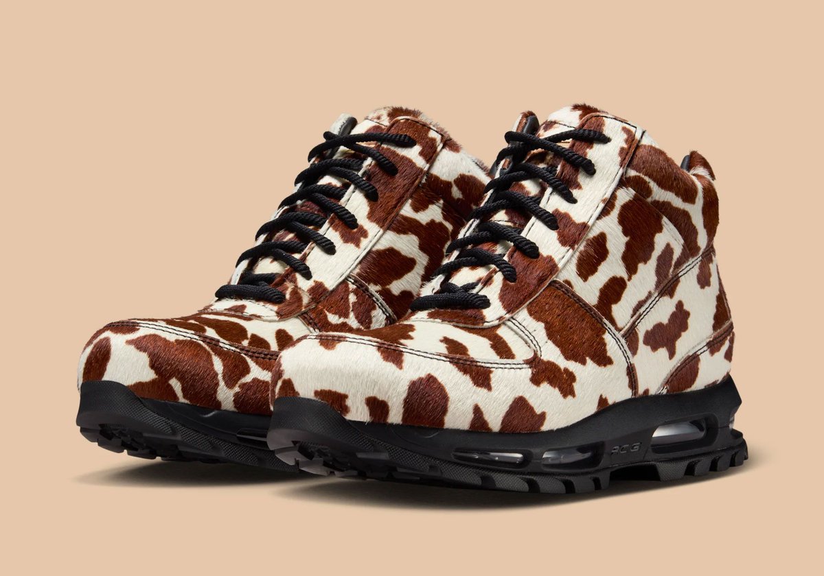 NIke Air Max Goadome 