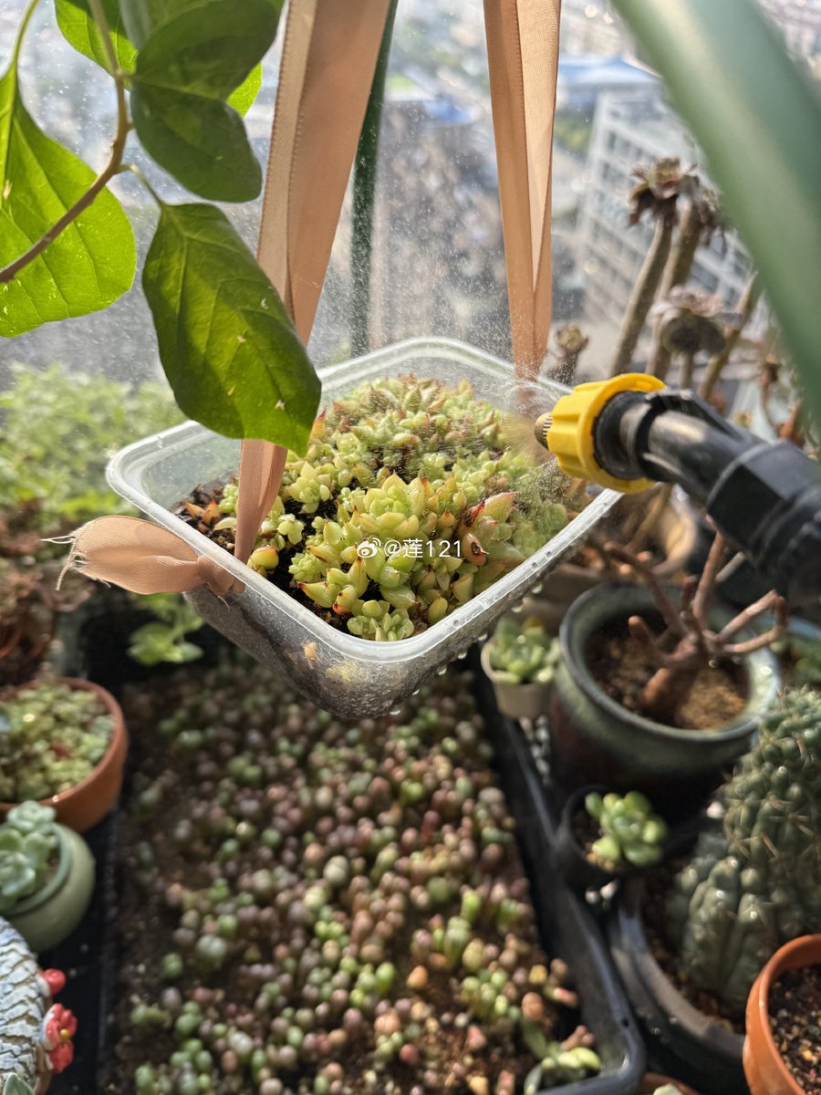 Terri Hayes tweet media