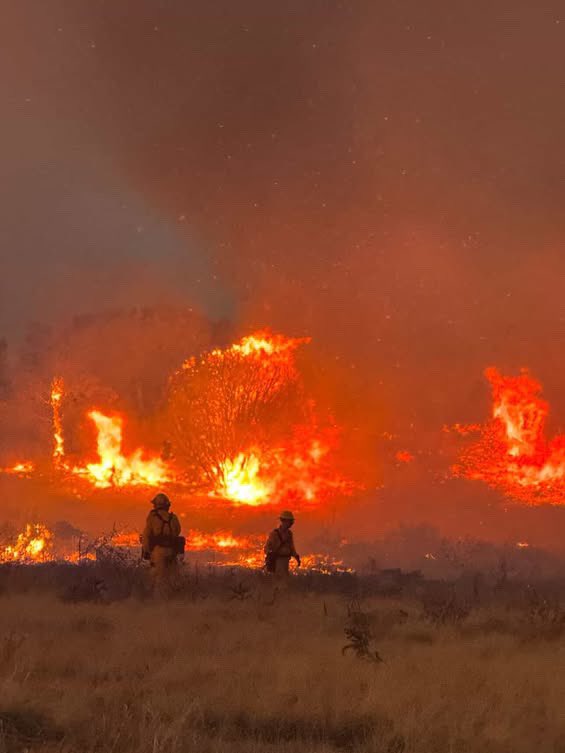 The Hotshot Wake Up tweet media