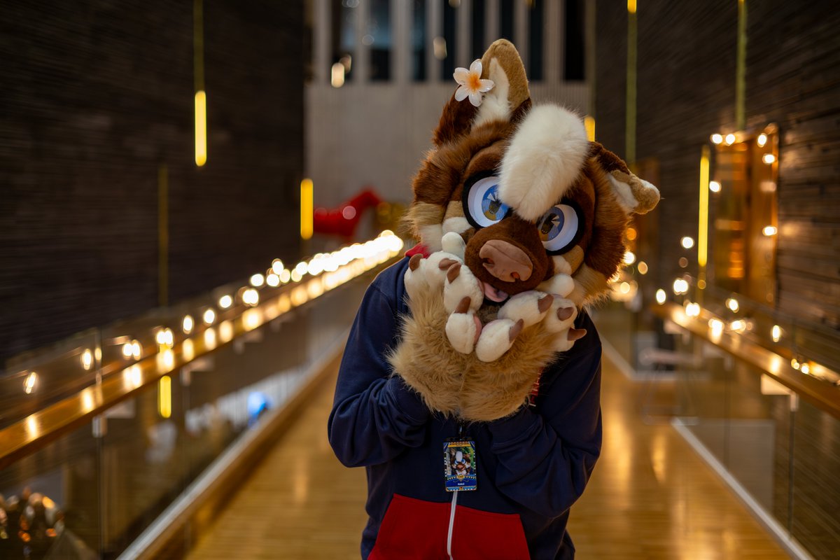 KeksiDragon tweet media