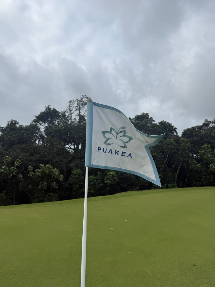 GoGolfKauai.com tweet media
