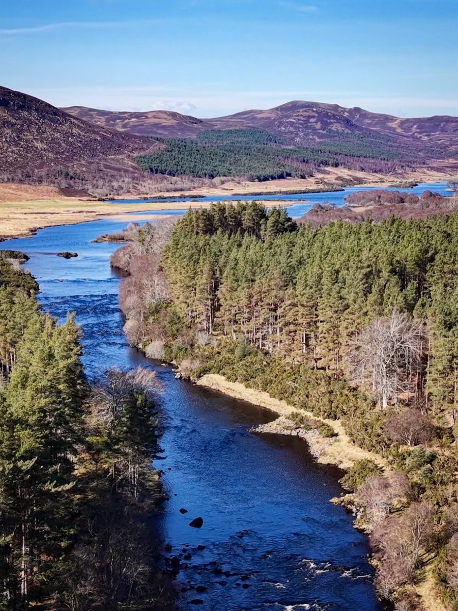 Foxes Afloat tweet media