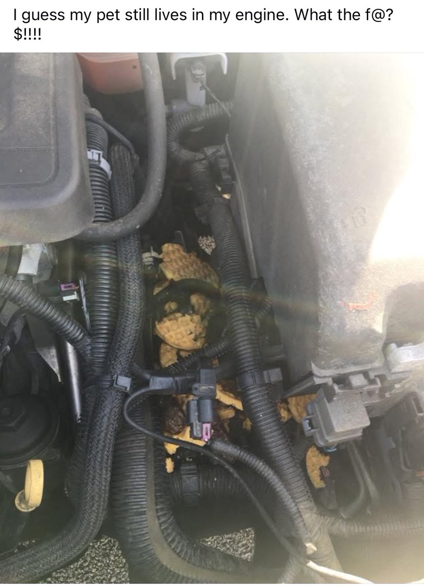 BostonBiceps💯- Natural Dad Bod Specialist tweet media