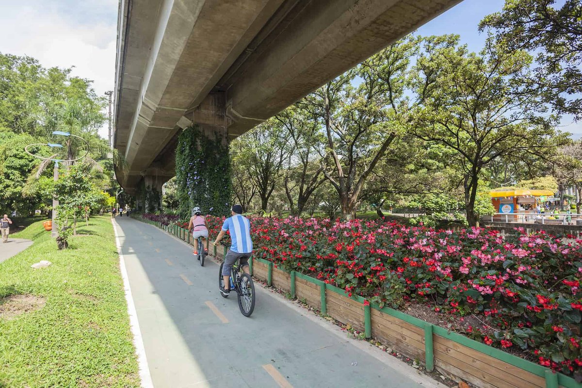 Benji Backer tweet media