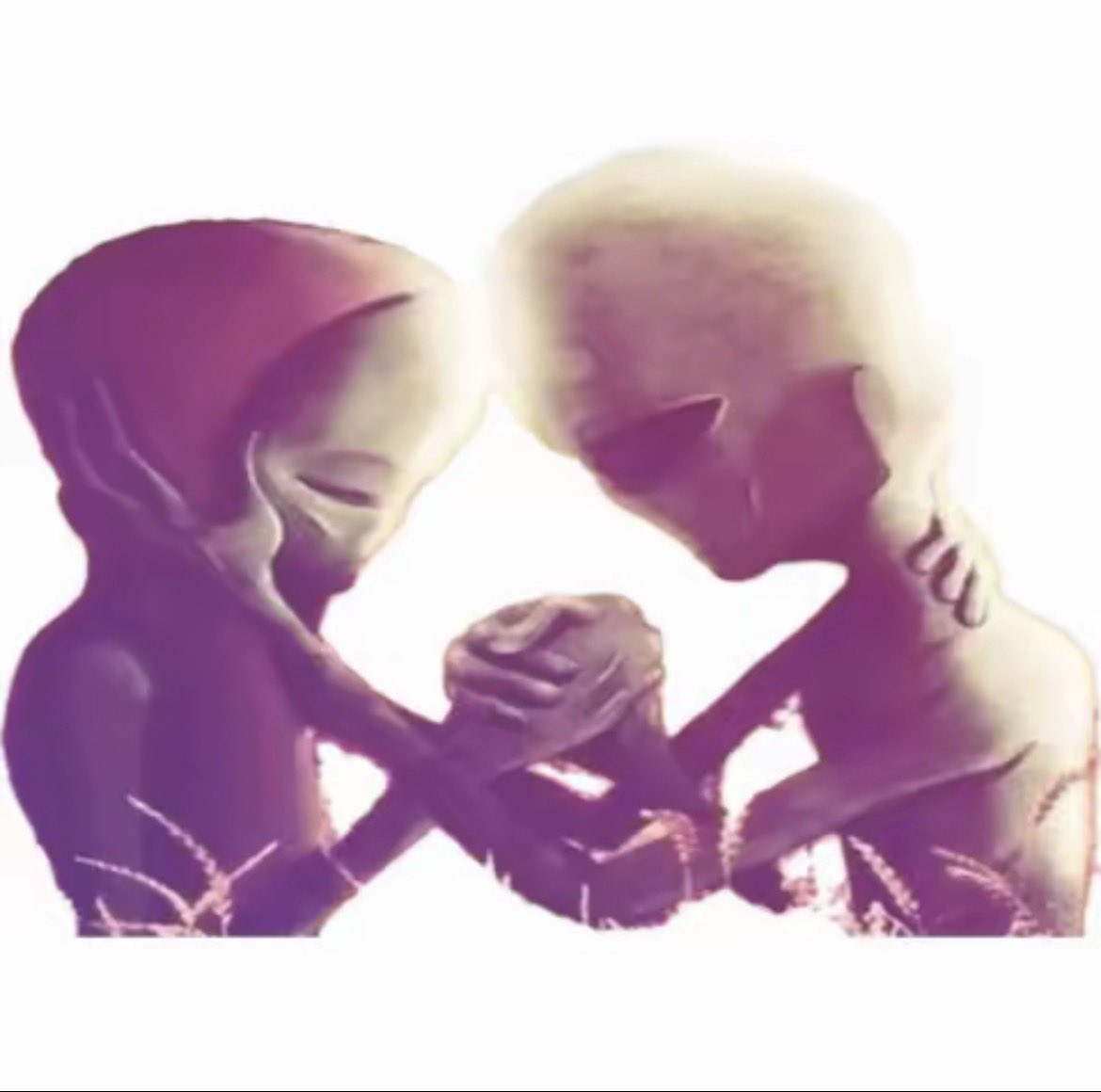 Lama faché tweet media