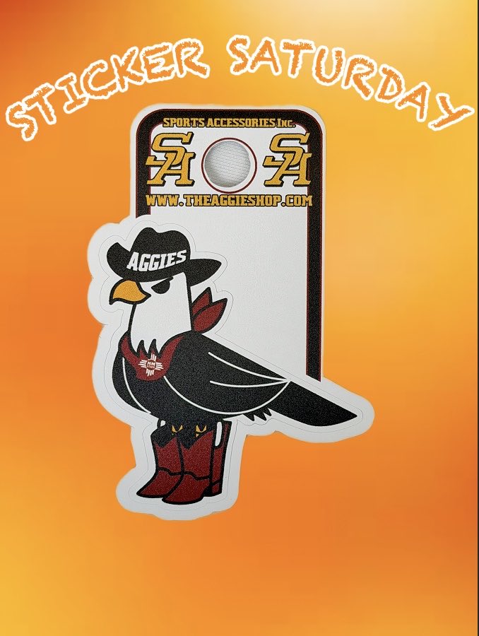 Sports Accessories tweet media