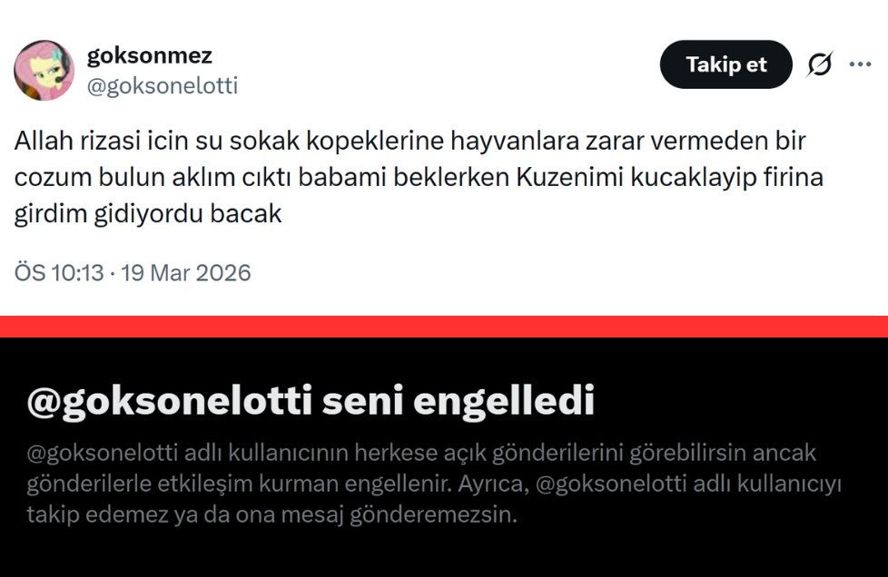 İTPEREST tweet media