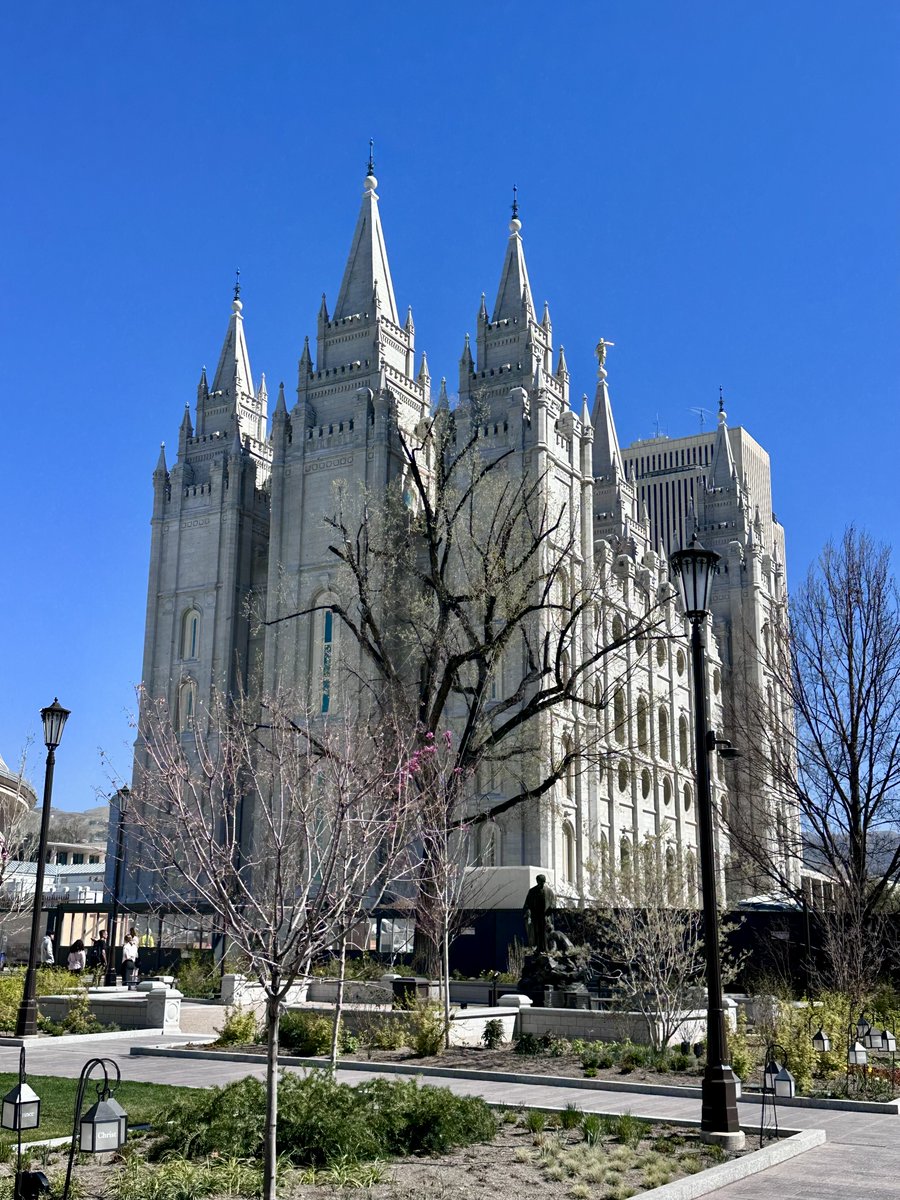 Miguelito tweet media