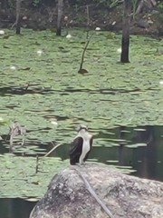 Kimberly Hesse tweet media