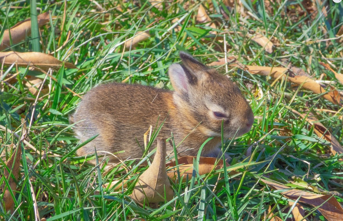 -&C. Communiqué 🇺🇸 tweet media