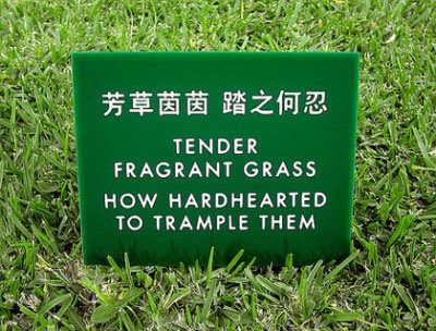 1964archives tweet media