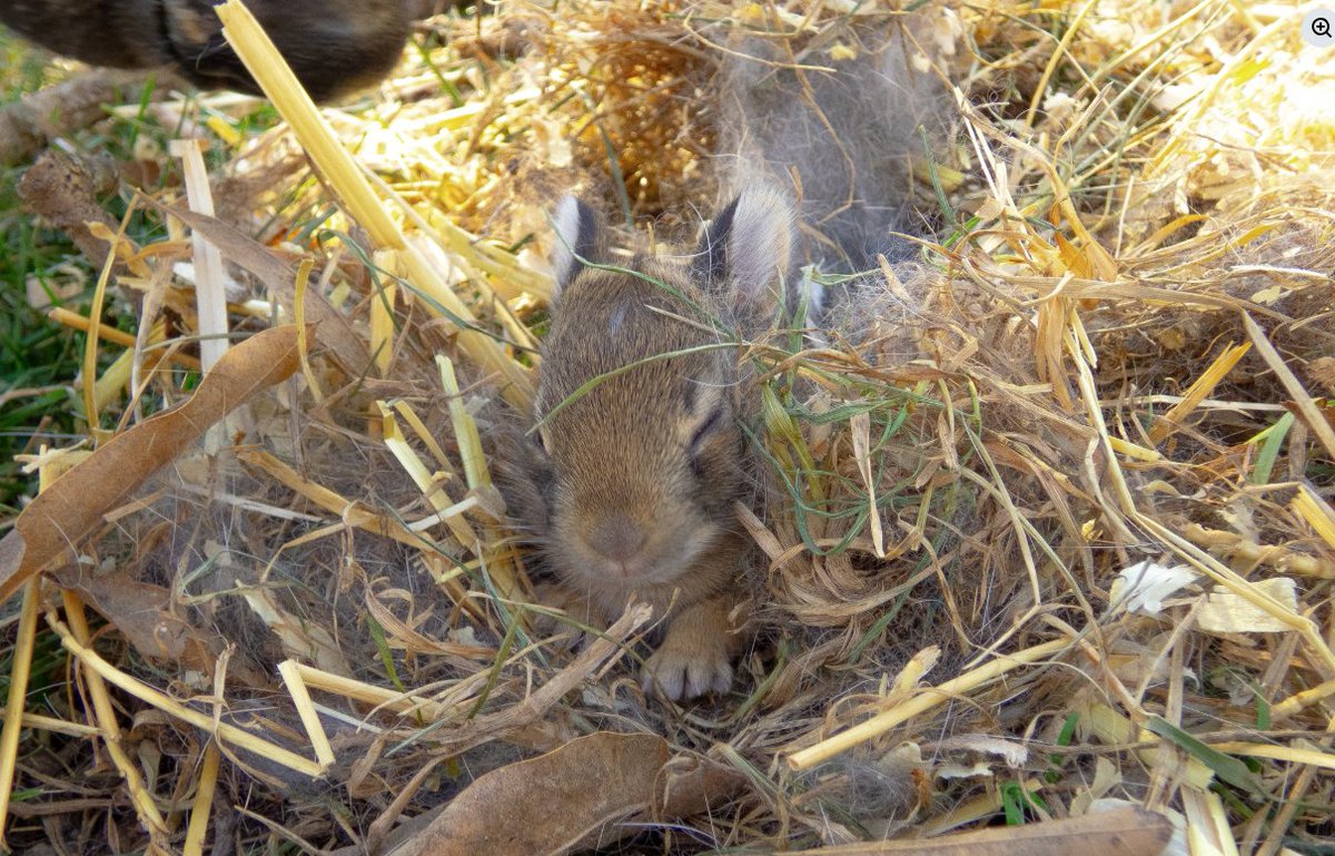 -&C. Communiqué 🇺🇸 tweet media