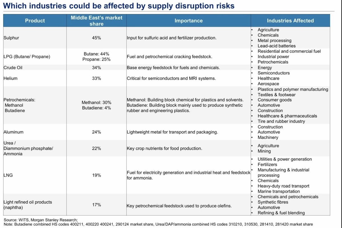Alex - Secrétariat tweet media