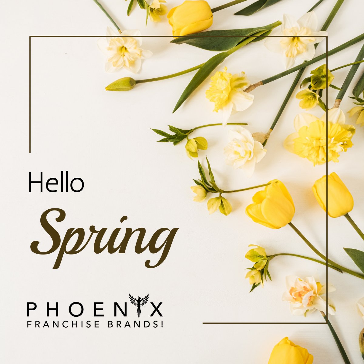 phxbrands's tweet photo. Spring is all about fresh starts 🌷 

If you’ve been waiting for the “right time” to pursue business ownership — this is it. 

Spring into self-employment with the support, training, and proven brands of Phoenix Franchise Brands. 

New season. New goals. New opportunities. https://t.co/jIfWtEcLZ4
