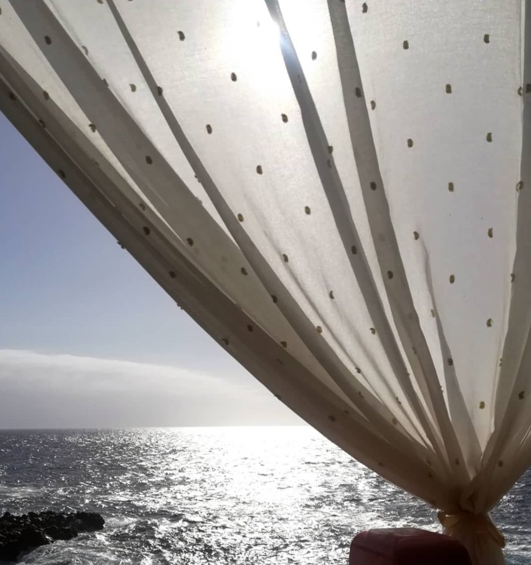 Mary 🇮🇨 tweet media