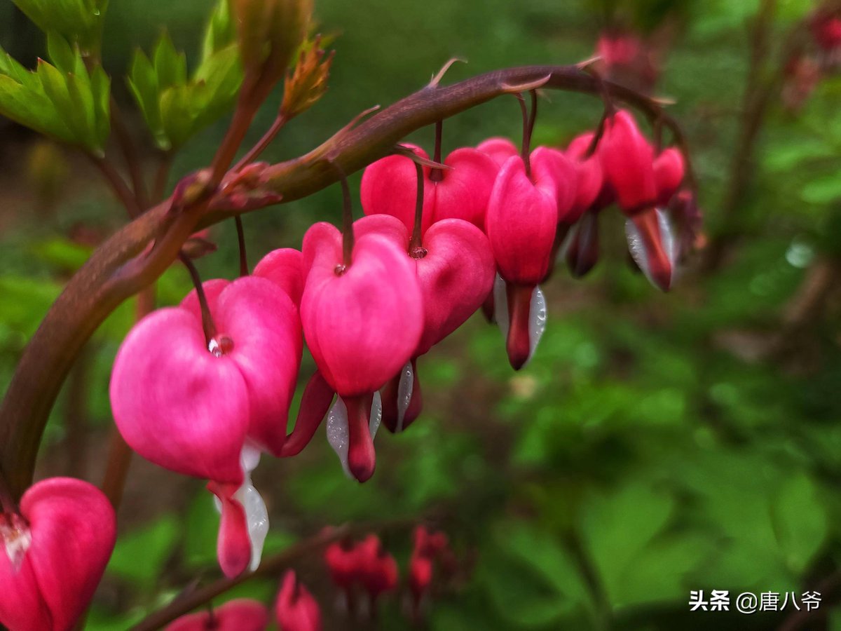 Freeman Hobs Allan tweet media