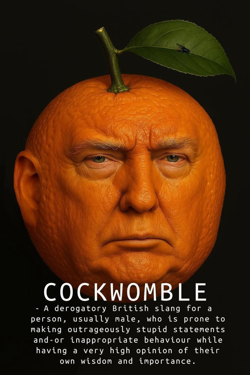 André🦩Nochrome tweet media