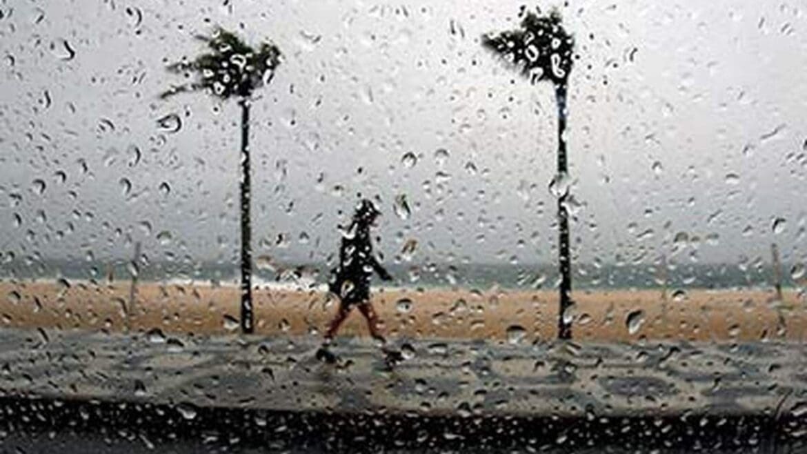 Opinião Vascaína tweet media