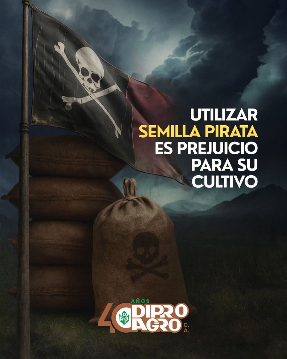 La semilla pirata ‍☠ es prejuicio para su cultivo
Usar semilla certificada mejora las ganancias económicas, incrementa los beneficios agronómicos y simplifica el control de malezas
La semilla pirata parece una mejor decisión económica, pero se transforma en prejuicio